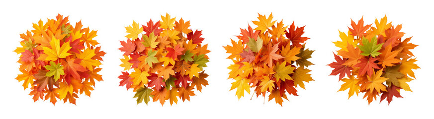 Fototapeta premium Colorful autumn leaves in vibrant shades of orange, red, and yellow