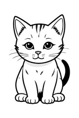 Obraz premium Cat is sitting on a white background