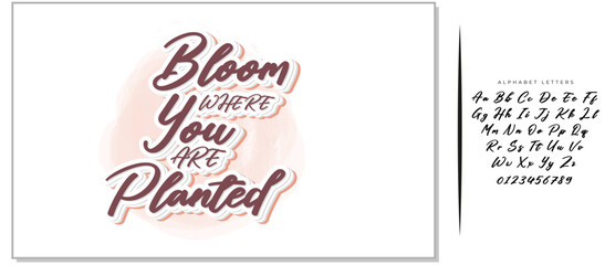 Hand drawn holiday lettering. Ink illustration. Modern brush calligraphy. Isolated on white background. Bloom where you are planted.