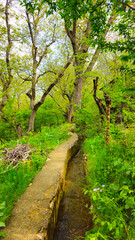 Embrace the beauty of spring, where every step leads to serenity and endless adventure.
📍Hawraman Takht, Kurdistan 
