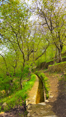 Embrace the beauty of spring, where every step leads to serenity and endless adventure.
📍Hawraman Takht, Kurdistan 
