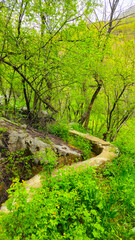 Embrace the beauty of spring, where every step leads to serenity and endless adventure.
📍Hawraman Takht, Kurdistan 
