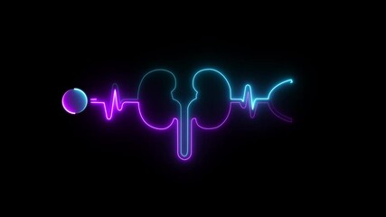 Kidney animation by cyan pink neon on black background. Glowing Human kidney icon animation. Glowing neon human kidneys on black background system symbol is a cyan pink neon kidney animation. 