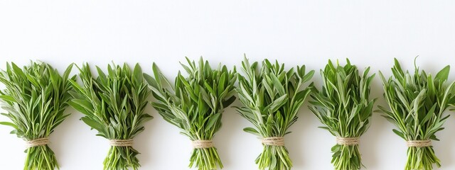 Freshly Harvested Herb Bundles Arranged in a Row on White Surface for Culinary Use