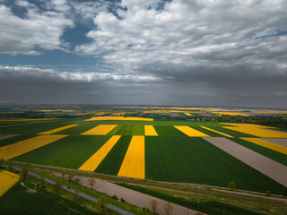 Aerial View of Rapeseed Fields and Country Road in Spring