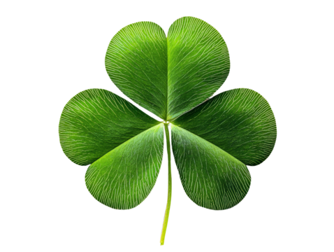 A vibrant clover leaf with three distinct lobes, isolated on a clean transparent background, PNG file. - Powered by Adobe