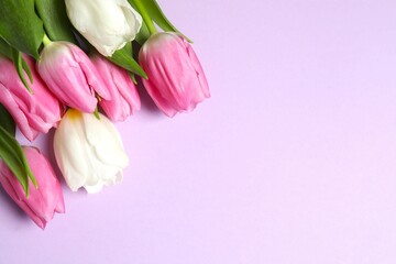 Fototapeta premium Beautiful fresh tulips on color background