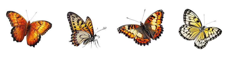 Isolated Butterfly Collection on White Background for Nature Illustration or Design Projects