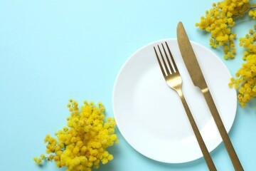 Top photo with plate, cutlery and mimosa flowers on color background with empty space