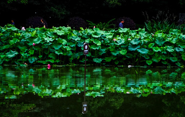 colorful abstract background