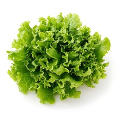 Obraz premium Fresh green lettuce salad isolated on white background. Healthy food concept.