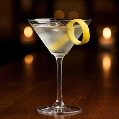 Martini with Lemon Twist and Ice