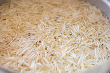 Bean sprouts soaked in water, close-up photo