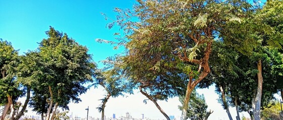 Al-Azhar Park in Cairo in Egypt