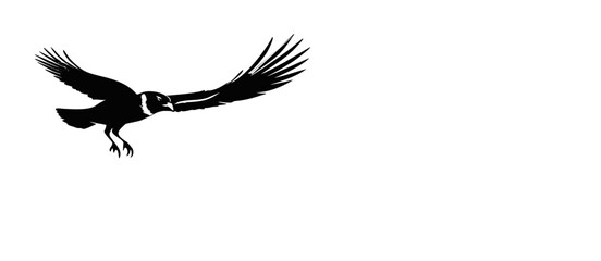 Fototapeta premium Black and White bird Illustration with vectors monochrome 