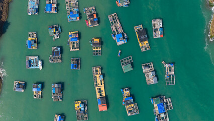 Fish rafts around the beautiful island