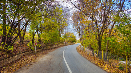 Autumn in the mesmerizing nature of Goshkhani village, where the colorful fall leaves create a symphony of beauty and endless tranquility.