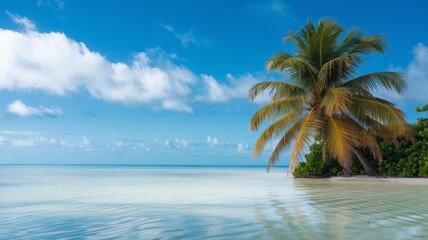 Tropical Seaside Scenery