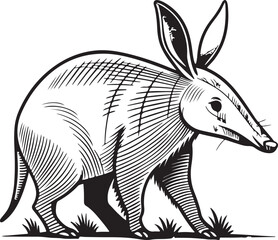 Aardvark Engraving: A detailed line art illustration of an aardvark, showcasing its unique features, including long ears and a tubular snout, set against a simple background of grass.