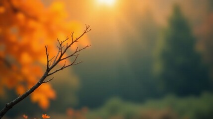 Obraz premium Serene autumnal scene featuring a solitary, leafless branch silhouetted against a backdrop of vibrant, out-of-focus foliage bathed in the warm glow of the setting sun.