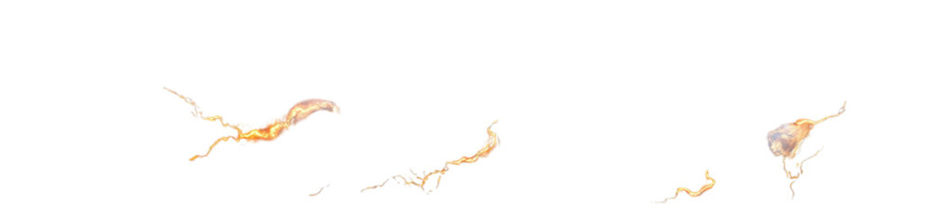 Abstract fiery fractal patterns on black background