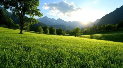 Fototapeta premium A serene landscape of a lush green field, majestic mountains, and a clear blue sky.