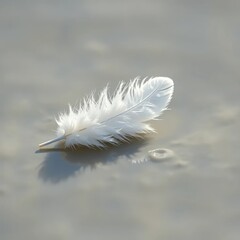Obraz premium Delicate white feather floats gently on the surface, serene, fluffy, plume