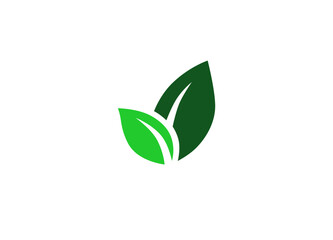 Green and natural design: isolated green seeding on a white background 