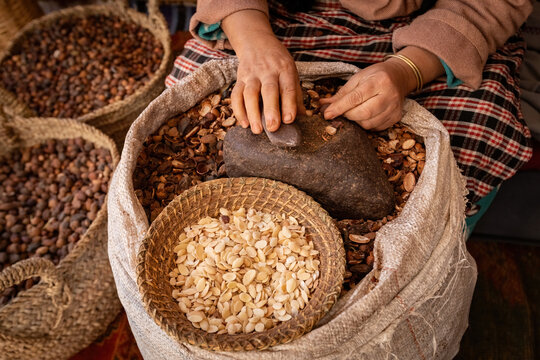 Close up of woman's hands peeling Argan fruits on the Argan oil factory Morocco