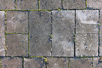Cement paving tiles with visible texture and grass growing between