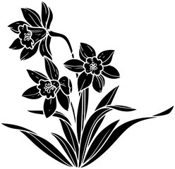 daffodil illustration spring silhouette flower logo nature icon floral outline plant bloom narcissus botanical blossom flora season easter garden shape for vector graphic background