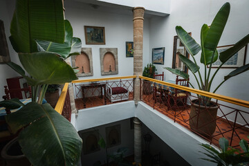 Internal yard of the old Riyad house with flowers decoration and white walls in Essaouira Morocco