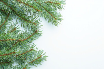 Fresh evergreen pine branches arranged on a white background, symbolizing Christmas, winter holidays, and natural seasonal decor.