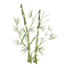 Watercolor bamboo leaves isolated on white