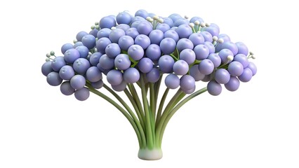Obraz premium Cartoon-style representation of a plant with numerous round, purple fruits or flowers arranged in a dense cluster. The plant has a central stem with several green stems extending outward