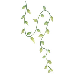 hand painted watercolor vines