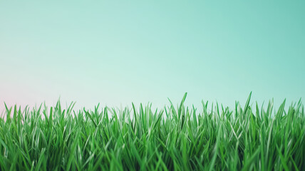 Fototapeta premium A serene view of lush green grass against a soft, gradient background, evoking a sense of calm and natural beauty.