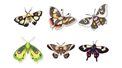 Collection of Six Colorful Moths and Butterflies Stickers