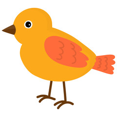 Hand drawn bird cartoon illustration 