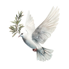 Obraz premium White dove with olive branch symbolizing peace and harmony