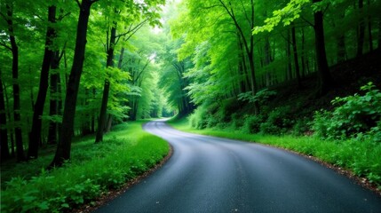 Naklejka premium Serene Winding Road Through Lush Green Canopy of Trees on a Sunny Day