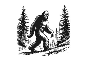 bigfoot hand drawn sketch vector © Shutoda