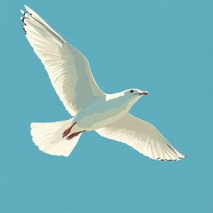 Fototapeta premium A white seagull soars through a vast clear light blue sky