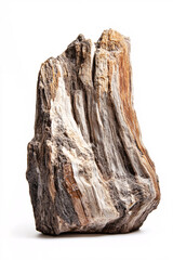 close up of gray and brown petrified wood rock on white background