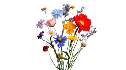 Colorful wildflower bouquet blooming on transparent background