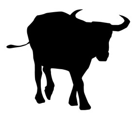 Silhouette of a Philippine Carabao 