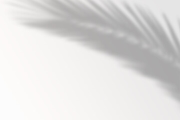 Shadow of the window on a gray background. Horizontal orientation, 3D rendering, overlay effect for photo
