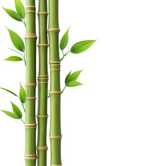 Isolated Green Bamboo Stalk with Leaves