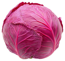 Fototapeta premium Vibrant Red Cabbage Isolated on Transparent Background Fresh and Healthy Vegetarian Food