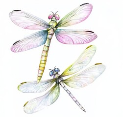 Delicate watercolor illustration of colorful dragonflies.